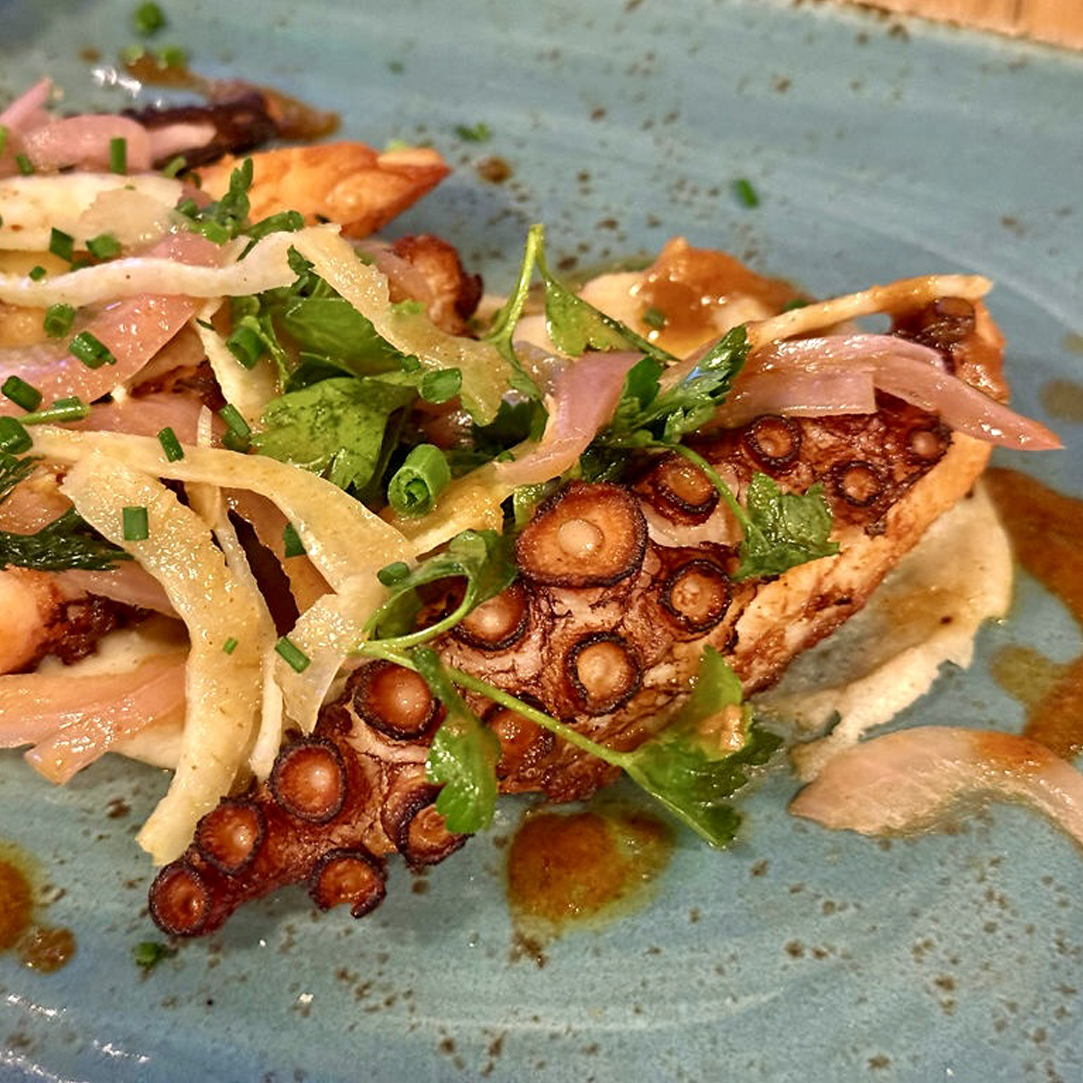 Octopus