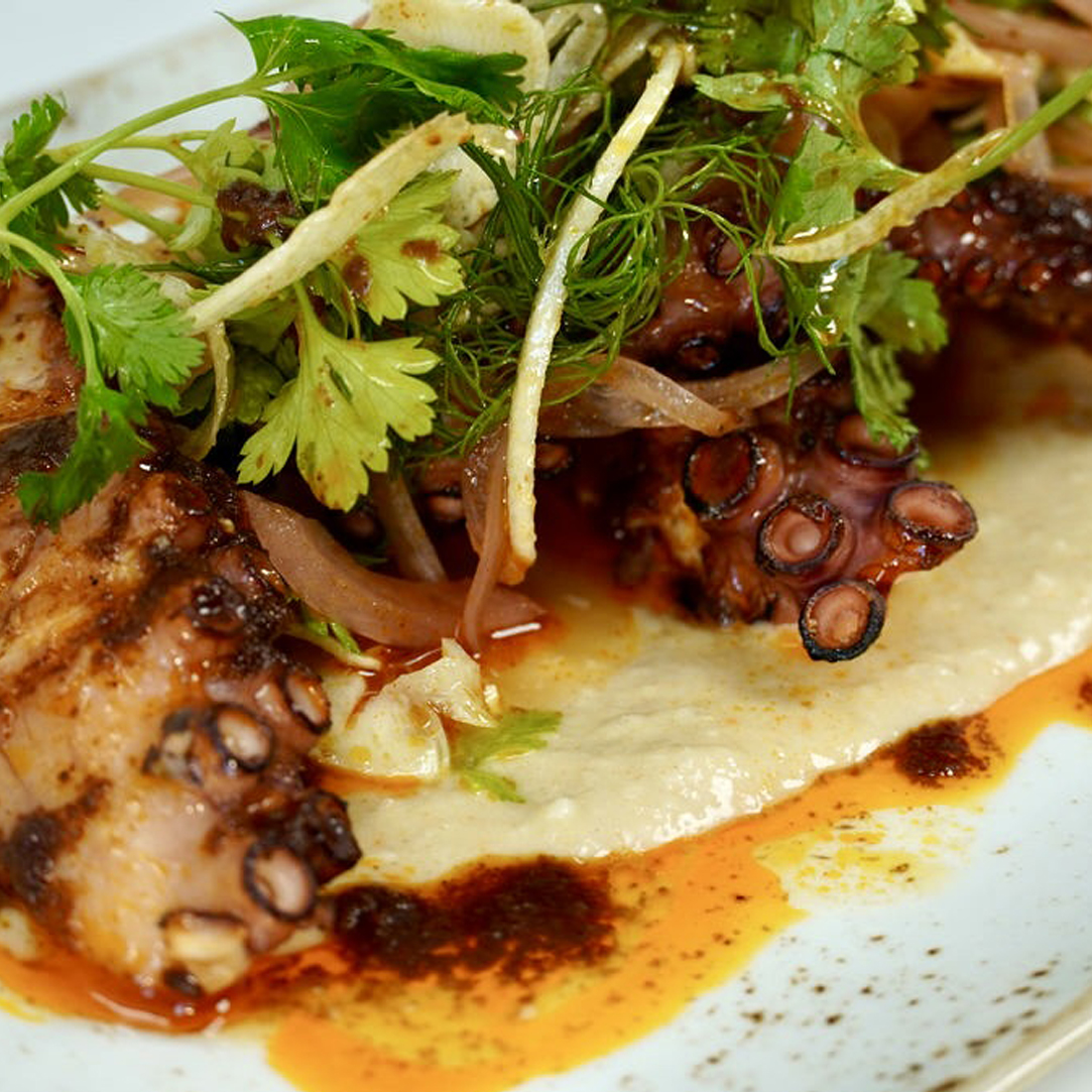 Spanish Octopus